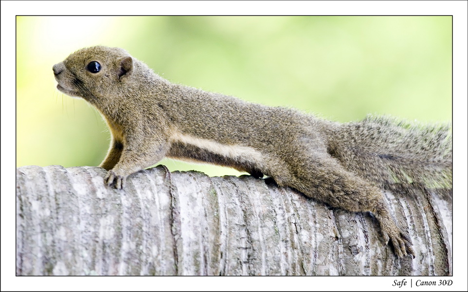 2008 - 07 - Leng Tengah - 002